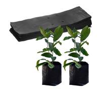 M METERXITY 50-Pack Nursery Growing Bags, 6.7" x 11.8" Thicken Plastic Nursery Bags, Gardening Seed Plant Bags for Potato/Flower/Tomato/Plant Starts/Home Gardening Supplies [Black]