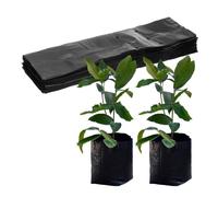 M METERXITY 50-Pack Nursery Growing Bags, 7.9" x 15.7" Thicken Plastic Nursery Bags, Gardening Seed Plant Bags for Potato/Flower/Tomato/Plant Starts/Home Gardening Supplies [Black]