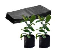 M METERXITY 50-Pack Nursery Growing Bags, 9.4" x 12.2" Thicken Plastic Nursery Bags, Gardening Seed Plant Bags for Potato/Flower/Tomato/Plant Starts/Home Gardening Supplies [Black]