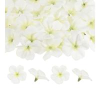 M METERXITY 50-Pack Orchid Flower Heads 2.2"/ 5.5cm, Cream White | Artificial, Fake Silk, for DIY Crafts/Dress/Wedding/Party Decoration