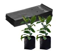M METERXITY 50-Pack Plastic Nursery Growing Bags 7.9" x 9.8", Black