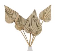 M METERXITY 6-Park Dried Palm Leaves 13.7x3.9" Natural Dried Real Palm Fans Palm Leaves Bulk for Boho Wedding/Home Bouquets Decorations Dried Gold Palm Leaf with Stem [Primary Color]