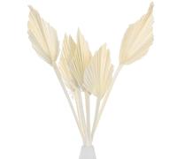 M METERXITY 6-Park Dried Palm Leaves 13.7x3.9" Natural Dried Real Palm Fans Palm Leaves Bulk for Boho Wedding/Home Bouquets Decorations Dried Gold Palm Leaf with Stem [White]