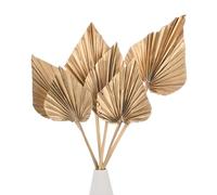 M METERXITY 6-Park Dried Palm Leaves 13.7x3.9 Natural Dried Real Palm Fans Palm Leaves Bulk for Boho Wedding/Home Bouquets Decorations Dried Gold Palm Leaf with Stem [Gold]