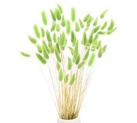 M METERXITY 60-Pack Bunny Tails Grass 17 Inch Fluffy Rabbit Tail Grass Dried Flowers Branches Vase Filler Dried Pampas Grass Decor for Home/Wedding/Vase/Office/Party [Green]