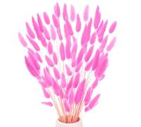 M METERXITY 60-Pack Bunny Tails Grass 17 Inch Fluffy Rabbit Tail Grass Dried Flowers Branches Vase Filler Dried Grass Decor for Home/Wedding/Vase/Office/Party [Rose Red]