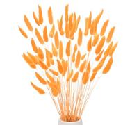 M METERXITY 60-Pack Bunny Tails Grass 17 Inch Fluffy Rabbit Tail Grass Dried Flowers Branches Vase Filler Dried Pampas Grass Decor for Home/Wedding/Vase/Office/Party [Orange]
