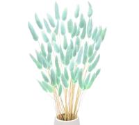 M METERXITY 60-Pack Bunny Tails Grass 17 Inch Fluffy Rabbit Tail Grass Dried Flowers Branches Vase Filler Dried Pampas Grass Decor for Home/Wedding/Vase/Office/Party [Blue]