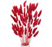 M METERXITY 60-Pack Bunny Tails Grass 17 Inch Fluffy Rabbit Tail Grass Dried Flowers Branches Vase Filler Dried Pampas Grass Decor for Home/Wedding/Vase/Office/Party [Bright Red]