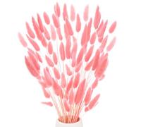 M METERXITY 60-Pack Bunny Tails Grass 17 Inch Fluffy Rabbit Tail Grass Dried Flowers Branches Vase Filler Dried Pampas Grass Decor for Home/Wedding/Vase/Office/Party [Pink]