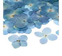 M METERXITY 60-Pack Dried Pressed Flowers for Resin, Real Natural Bulk Dry Floral for Crafts/DIY Jewelry/Soap Making/Scrapbooking/Candle/Epoxy Resin Supplies [Blue White]