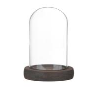 M METERXITY Cloche Glass Dome, 3.9"x2.4" Glass Display Case with Wooden Base for DIY Snow Globes/Small Plants/Flowers/Candles/Models/Souvenirs, Tabletop Centerpiece [Dark]