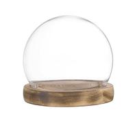 M METERXITY Cloche Glass Dome, D3.9In Ball Jar with Wooden Base for DIY Snow Globes/Small Plants/Flowers/Candles/Models/Souvenirs, Glass Display Case [White]