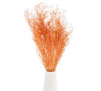 M METERXITY Dried Flowers Bouquet 17" Dry Limonium Flower Bundle for Home Decor/Flower Arrangement Caspia Dried Baby's Breath Flowers Bundle Natural Table Vase Decoration [Orange, 60g]