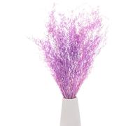 M METERXITY Dried Flowers Bouquet 17" Dry Limonium Flower Bundle for Home Decor/Flower Arrangement Caspia Dried Baby's Breath Flowers Bundle Natural Table Vase Decoration [Purple, 60g]