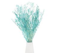 M METERXITY Dried Flowers Bouquet 17" Dry Limonium Flower Bundle for Home Decor/Flower Arrangement Caspia Dried Baby's Breath Flowers Bundle Natural Table Vase Decoration [Blue, 60g]