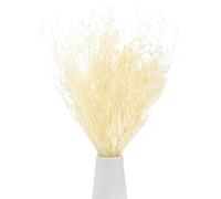 M METERXITY Dried Flowers Bouquet 17" Dry Limonium Flower Bundle for Home Decor/Flower Arrangement Caspia Dried Baby's Breath Flowers Bundle Natural Table Vase Decoration [White,60g]