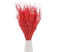 M METERXITY Dried Flowers Bouquet 17" Dry Limonium Flower Bundle for Home Decor/Flower Arrangement Caspia Dried Baby's Breath Flowers Bundle Natural Table Vase Decoration [Orange red, 120g]