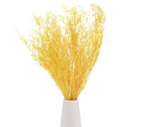 M METERXITY Dried Flowers Bouquet 17" Dry Limonium Flower Bundle for Home Decor/Flower Arrangement Caspia Dried Baby's Breath Flowers Bundle Natural Table Vase Decoration [Yellow, 60g]