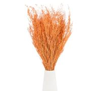 M METERXITY Dried Flowers Bouquet 17" Dry Limonium Flower Bundle for Home Decor/Flower Arrangement Caspia Dried Baby's Breath Flowers Bundle Natural Table Vase Decoration [Orange, 120g]