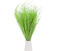M METERXITY Dried Flowers Bouquet 17" Dry Limonium Flower Bundle for Home Decor/Flower Arrangement Caspia Dried Baby's Breath Flowers Bundle Natural Table Vase Decoration [Light green, 120g]