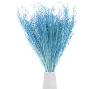 M METERXITY Dried Flowers Bouquet 17" Dry Limonium Flower Bundle for Home Decor/Flower Arrangement Caspia Dried Baby's Breath Flowers Bundle Natural Table Vase Decoration [Sky blue, 120g]
