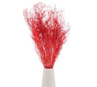 M METERXITY Dried Flowers Bouquet 17" Dry Limonium Flower Bundle for Home Decor/Flower Arrangement Caspia Dried Baby's Breath Flowers Bundle Natural Table Vase Decoration [Orange red, 60g]