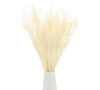 M METERXITY Dried Flowers Bouquet 17" Dry Limonium Flower Bundle for Home Decor/Flower Arrangement Caspia Dried Baby's Breath Flowers Bundle Natural Table Vase Decoration [White, 120g]