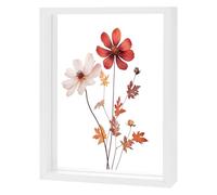 M METERXITY Wooden Pressed Flower Frame, 6 x 8 Inch Double Acrylic Floating Picture Frame for Dried Flowers/Tabletop/DIY/Handicrafts [White]
