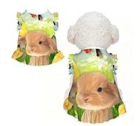 M Pet Dog Breathable Easter Bunny Spring Butterfly Print Sleeveless T-Shirt | Small Medium Cats Puppy Chihuahua Yorkie Dachshund French Bulldog - Lightweight Tank Top Dog Shirt Soft Stretchy Vest