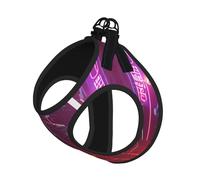 M Pet Leash Vest Dog Harness – Small Sized Darts arrows furture Print Leash Set with Buckle, Canine Companion Outdoor dog walking