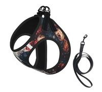 M Pet Leash Vest Dog Harness – Small Sized Floral Skull Print Leash Set with Buckle, Canine Companion Outdoor dog walking