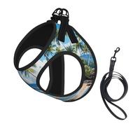 M Pet Leash Vest Dog Harness – Small Sized hawaii beach Print Leash Set with Buckle, Canine Companion Outdoor dog walking