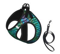 M Pet Leash Vest Dog Harness â€“ Small Sized Magical Pattern Print Leash Set with Buckle, Canine Companion Outdoor dog walking