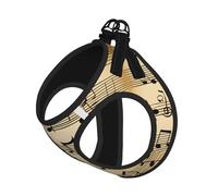 M Pet Leash Vest Dog Harness â€“ Small Sized Musical Notes Print Leash Set with Buckle, Canine Companion Outdoor dog walking