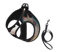 M Pet Leash Vest Dog Harness – Small Sized two Japanese cranes flying traditional painting Print Leash Set with Buckle, Canine Companion Outdoor dog walking