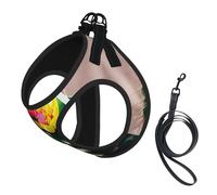 M Pet Leash Vest & Dog Harness - Small Sized Blooming Cactus Print Leash Set with Buckle, Canine Companion Outdoor Travel