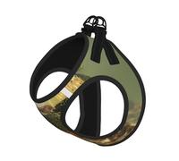 M Pet Leash Vest Dog Harness - Small Sized, Brook Trout Fly Fishing Print Adjustable for Outdoor Travel and Walking