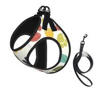 M Pet Leash Vest & Dog Harness - Small Sized Cute Colorful Dog Paw Print Leash Set with Buckle, Canine Companion Outdoor Travel