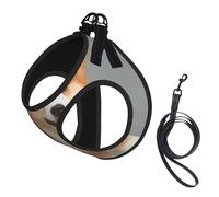 M Pet Leash Vest & Dog Harness - Small Sized Cute Corgi Gold Print Leash Set, Reflective, Adjustable for Cats & Dogs