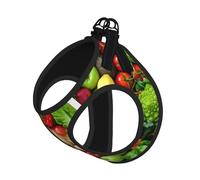 M Pet Leash Vest & Dog Harness - Small Sized Fresh Fruits and Vegetables Print Leash Set with Buckle, Canine Companion Outdoor Travel