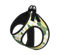 M Pet Leash Vest & Dog Harness - Small Sized Fresh Lemon Print Leash Set, Reflective, Adjustable for Cats & Dogs