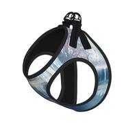 M Pet Leash Vest & Dog Harness - Small Sized Lake fairy Print Leash Set, Reflective, Adjustable for Cats & Dogs