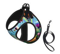 M Pet Leash Vest Dog Harness - Small Sized Leash Set, Hot Air Balloons Print Puppy Breathable Mesh for Canine Companions