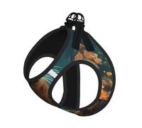 M Pet Leash Vest Dog Harness - Small Sized Leash Set, Seal pup in water Print Puppy Breathable Mesh for Canine Companions