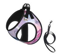 M Pet Leash Vest Dog Harness - Small Sized, Pink flower and blue dragonfly Print Adjustable for Outdoor Travel and Walking