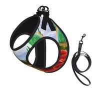 M Pet Leash Vest Dog Harness - Small Sized, Poppies Field Yellow Brick Road Print Adjustable for Outdoor Travel and Walking