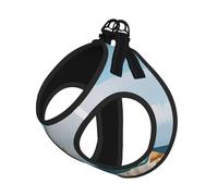 M Pet Leash Vest & Dog Harness - Small Sized Snowman With Seashells Sitting On Sandy Beach (1) Print Leash Set, Reflective, Adjustable for Cats & Dogs