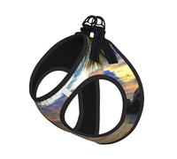 M Pet Leash Vest & Dog Harness - Small Sized Sunset at The Beach Print Leash Set, Reflective, Adjustable for Cats & Dogs