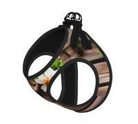 M Pet Leash Vest & Dog Harness - Small Sized Teal Flower on Wooden Plank Print Leash Set with Buckle, Canine Companion Outdoor Travel